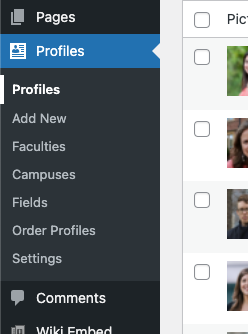 A partial screenshot showing the WordPress dashboard menu with the Profiles submenu open.